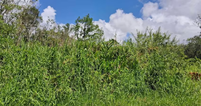 Terreno para Venda em Itanhaém, São Fernando