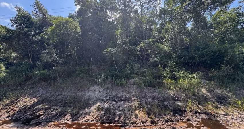 Terreno para Venda em Itanhaém, Chácaras Bom Retiro