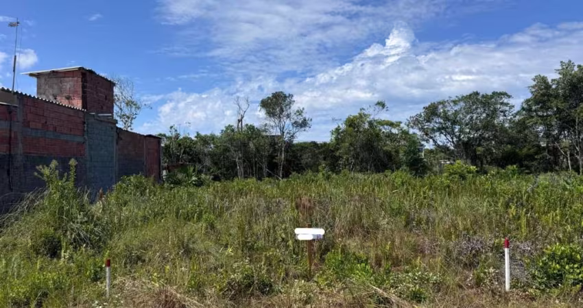 Terreno para Venda em Itanhaém, Tupy