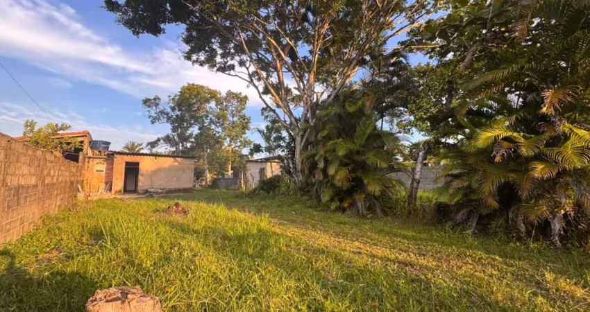 Chácara para Venda em Itanhaém, Sítio Velho, 1 dormitório, 1 banheiro
