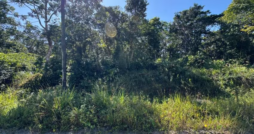 Terreno para Venda em Itanhaém, São Fernando