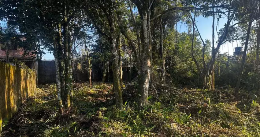 Terreno à venda na Avenida Marginal, 11464, Balneário Gaivota, Itanhaém