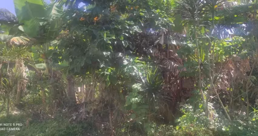 Terreno à venda na Avenida Marginal, 11464, Jardim Suarão, Itanhaém