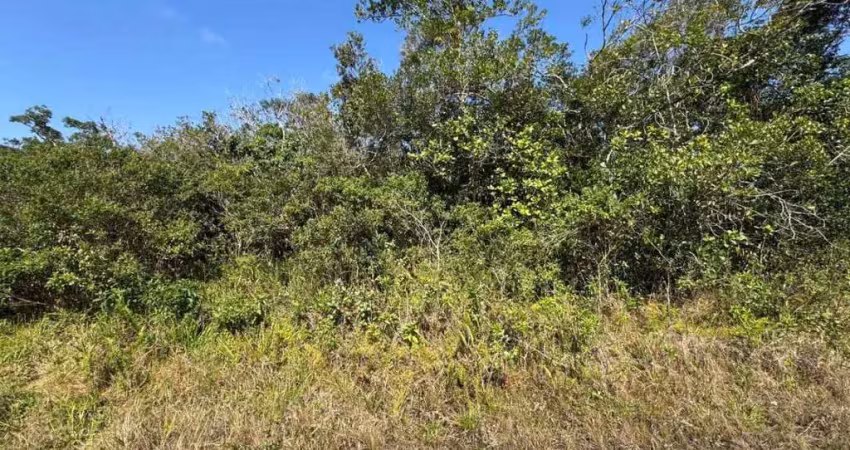 Terreno à venda na Avenida Marginal, 11464, Jardim Anchieta, Itanhaém
