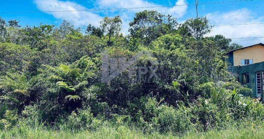 Terreno para Venda em Itanhaém, Jardim Guacyra
