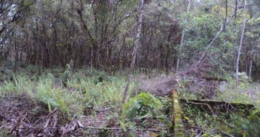 Chácara para Venda em Itanhaém, Balneário Gaivota