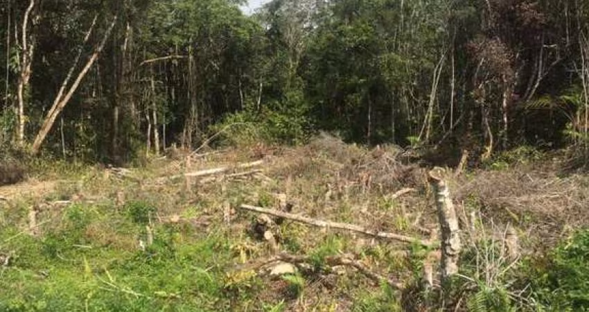 Terreno para Venda em Itanhaém, Indaiá