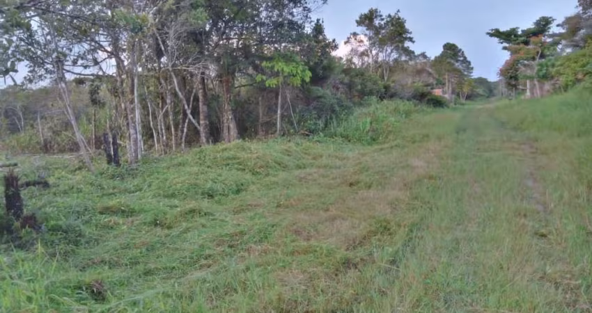 Terreno para Venda em Peruíbe, Jardim San Francisco