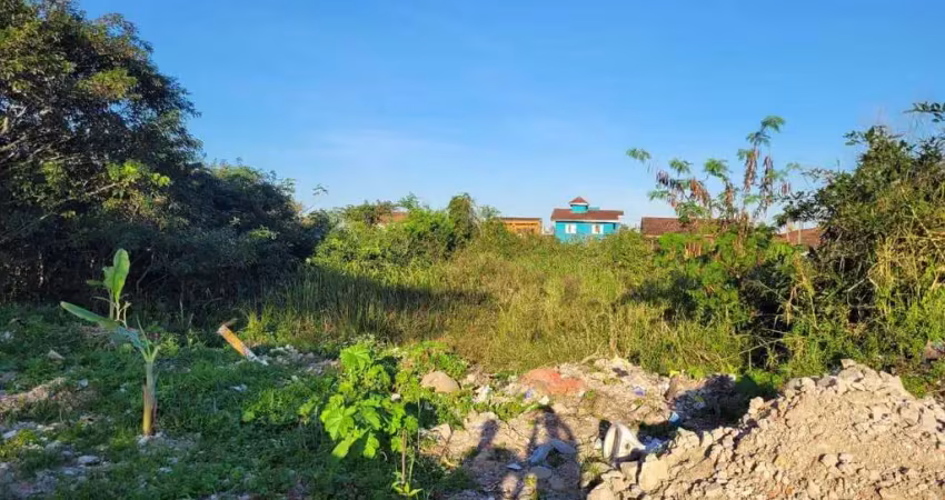 Terreno à venda no Parque Augustus, Itanhaém 