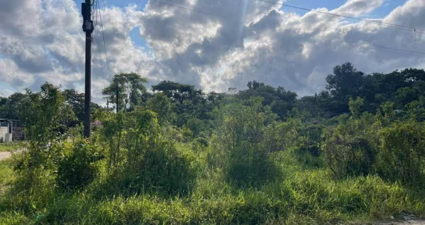 Terreno para Venda em Itanhaém, Parque Vergara