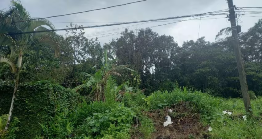 Terreno para Venda em Itanhaém, Jardim Umuarama
