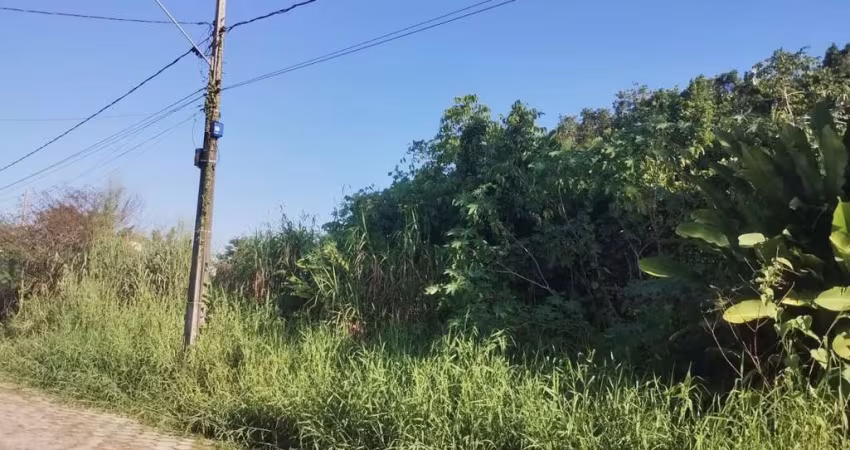 Terreno para Venda em Itanhaém, Jardim Umuarama