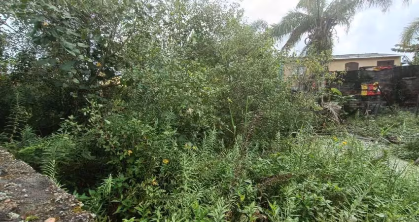 Terreno para venda em itanhaém, jardim das palmeiras
