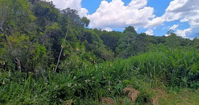 Terreno à venda no Balneário Beatriz, Itanhaém 
