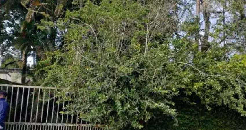 Terreno à venda no Parque Novaro, Itanhaém 