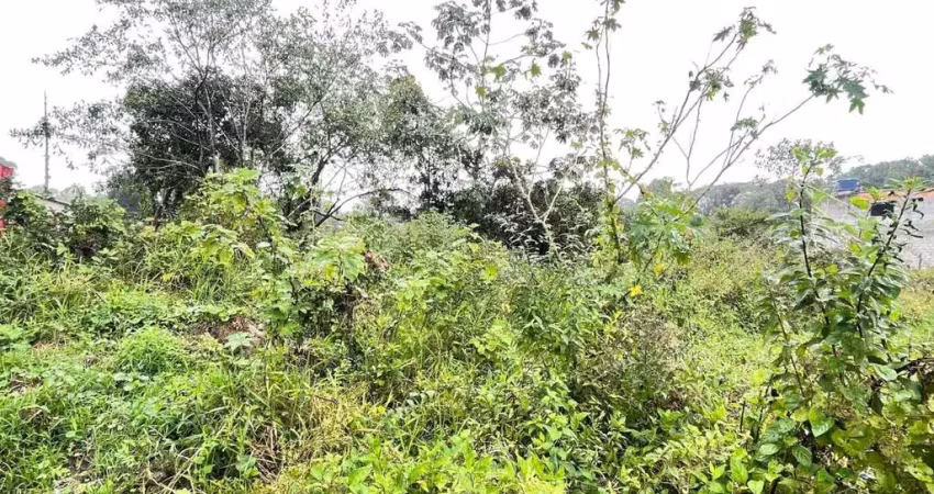 Terreno à venda no Jardim Coronel, Itanhaém 