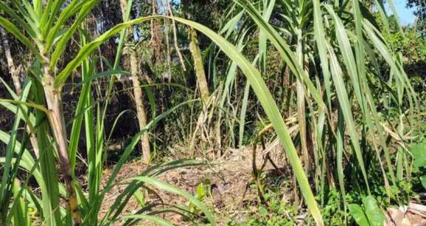 Terreno para venda em itanhaém, jardim das palmeiras