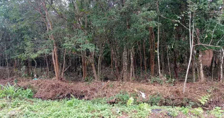 Terreno à venda no Bopiranga, Itanhaém 