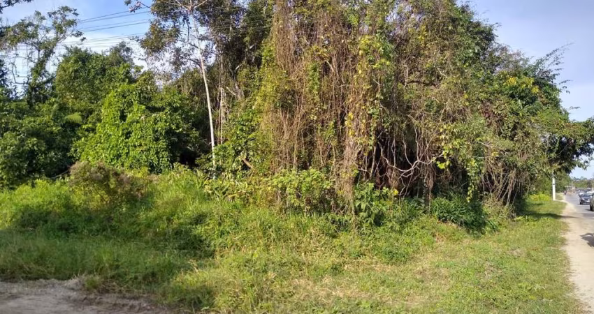 Terreno para Venda em Itanhaém, Jardim Coronel