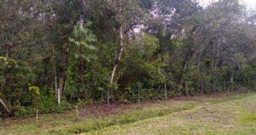 Terreno para Venda em Itanhaém, Balneário Gaivotas