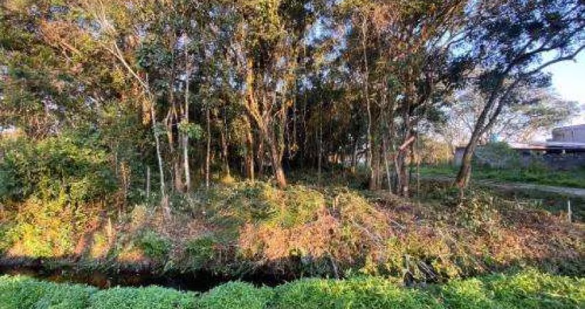 Terreno para Venda em Itanhaém, Balneário Gaivotas