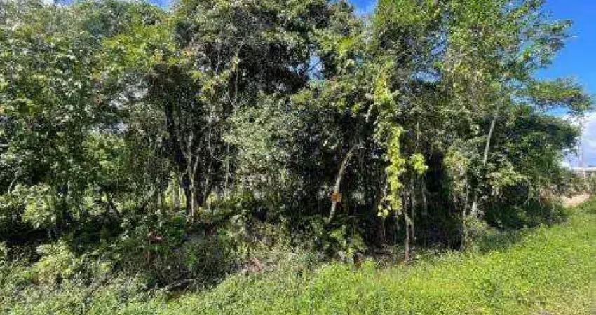 Terreno à venda no Palmeiras II, Itanhaém 