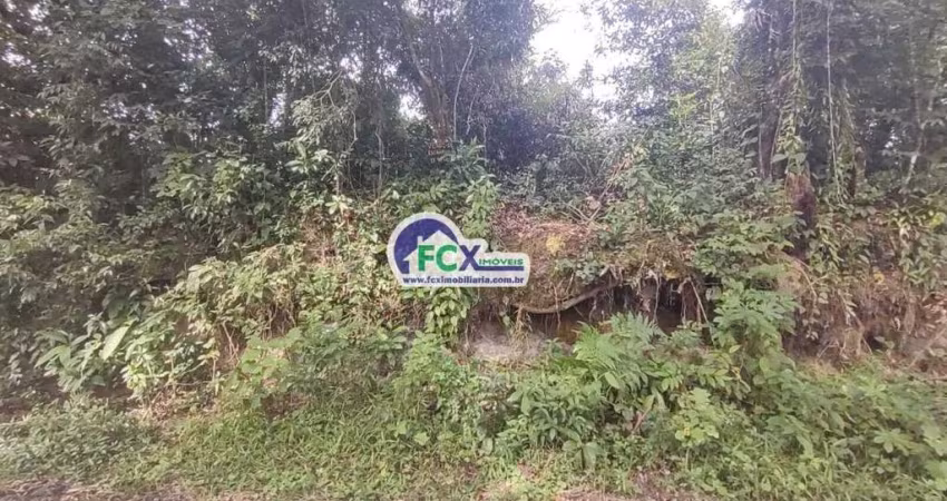 Terreno para Venda em Itanhaém, Jardim Coronel