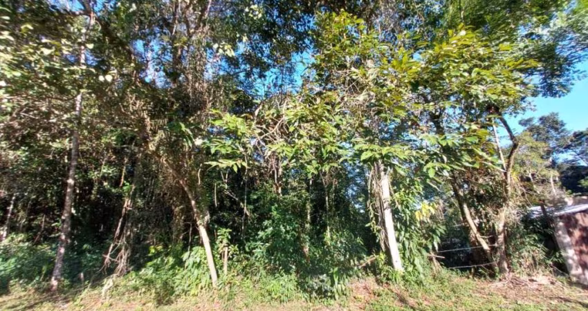 Terreno para Venda em Itanhaém, Jardim Coronel