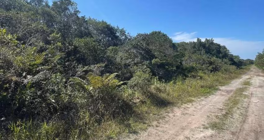 Terreno para Venda em Itanhaém, Regina