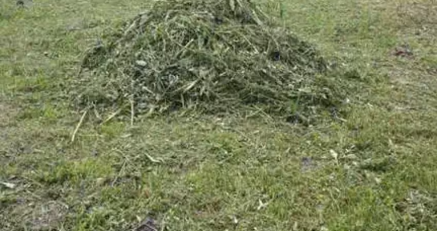 Terreno à venda no Balneário Gaivota, Itanhaém 