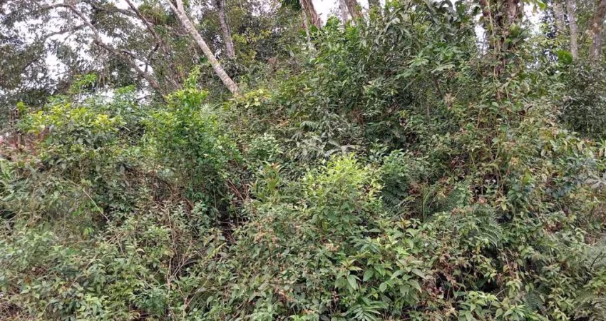 Terreno para Venda em Itanhaém, Jardim Coronel