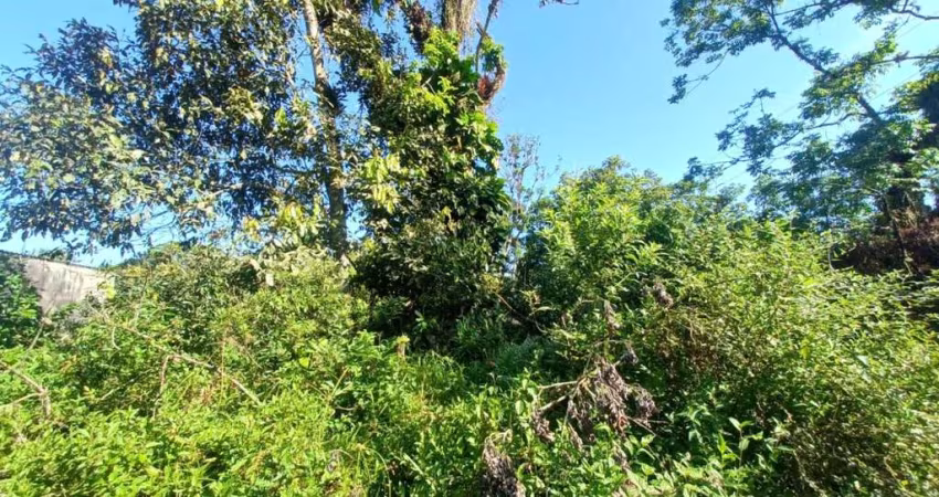 Terreno para Venda em Itanhaém, Jardim Coronel