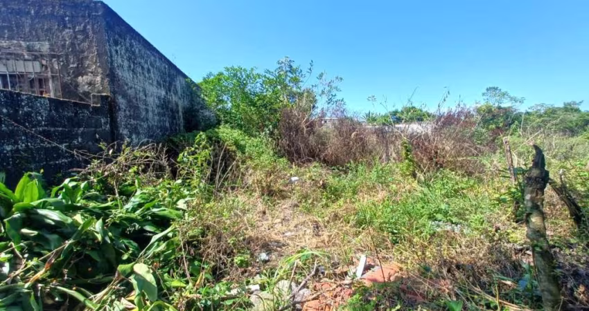 Terreno para Venda em Itanhaém, Chácara Cibratel