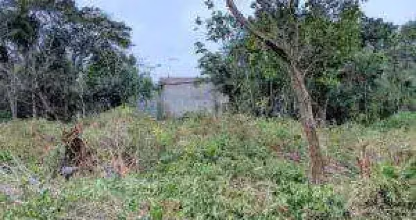 Terreno para Venda em Itanhaém, Luiza Mar Mirim
