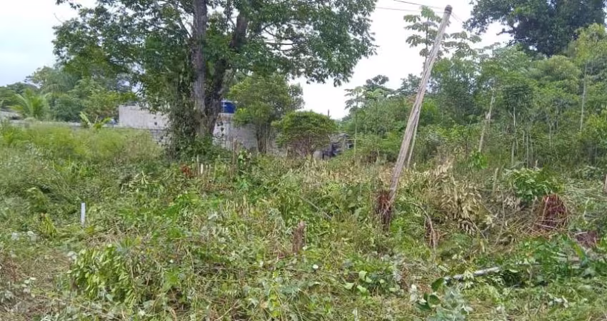 Terreno para Venda em Itanhaém, Jardim Coronel