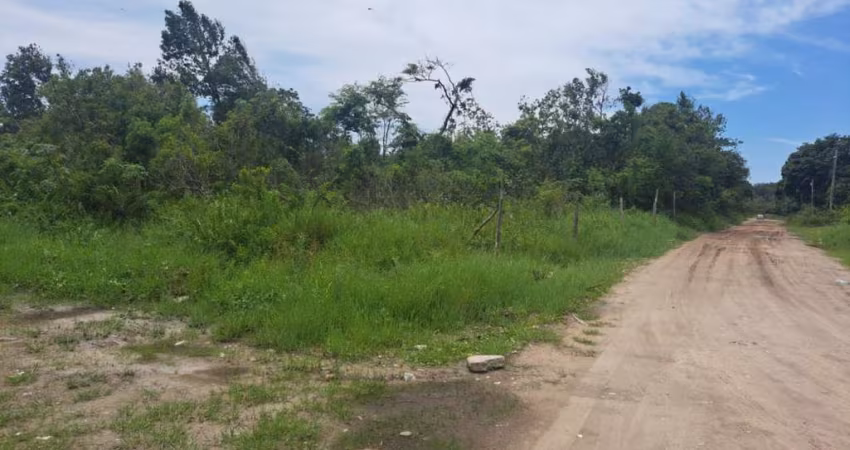 Terreno para Venda em Itanhaém, Parque Evelyn