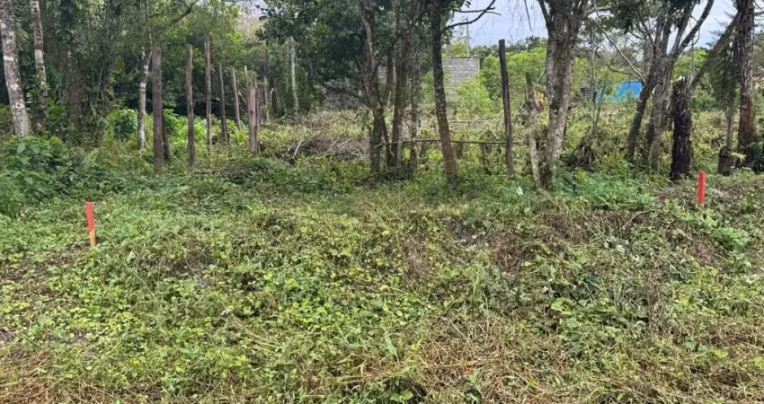 Terreno à venda no Balneário Tupy, Itanhaém 