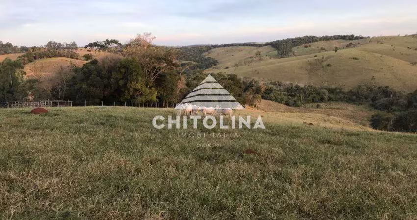 Chácara / sítio à venda na Vila São Judas Thadeu, Capão Bonito 