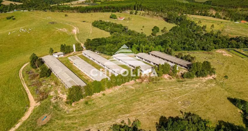 Sítio para suinocultura à venda, 372000 m² por r$ 4.500.000 - santa cruz dos matos - são miguel arcanjo/sp