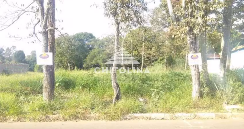 Terreno residencial à venda, jardim das flores, itapetininga - te0289.