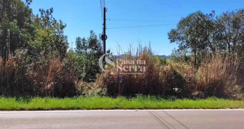 ÁREA COM 10 HECTARES À VENDA, ENTRE NOVA PETRÓPOLIS E GRAMADO, Linha Araripe, Nova Petropolis - RS