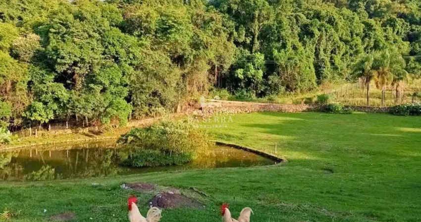 Chácara / sítio à venda na Rua Theobaldo Schmitt, Pinhal Alto, Nova Petrópolis