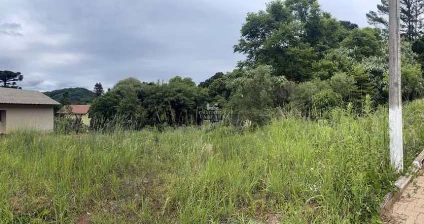 TERRENO À VENDA EM NOVA PETRÓPOLIS, Linha Imperial, Nova Petropolis - RS