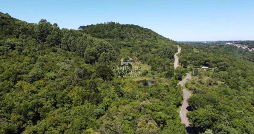 ÁREA DE TERRA EM NOVA PETRÓPOLIS/RS, Fazenda Pirajá, Nova Petropolis - RS