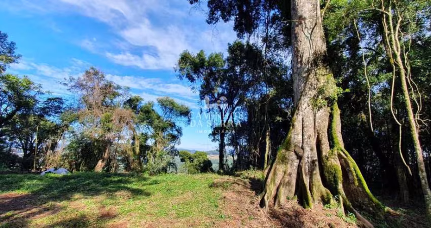 ÁREA DE TERRA COM 3 HECTARES EM NOVA PETRÓPOLIS, Linha Imperial, Nova Petropolis - RS