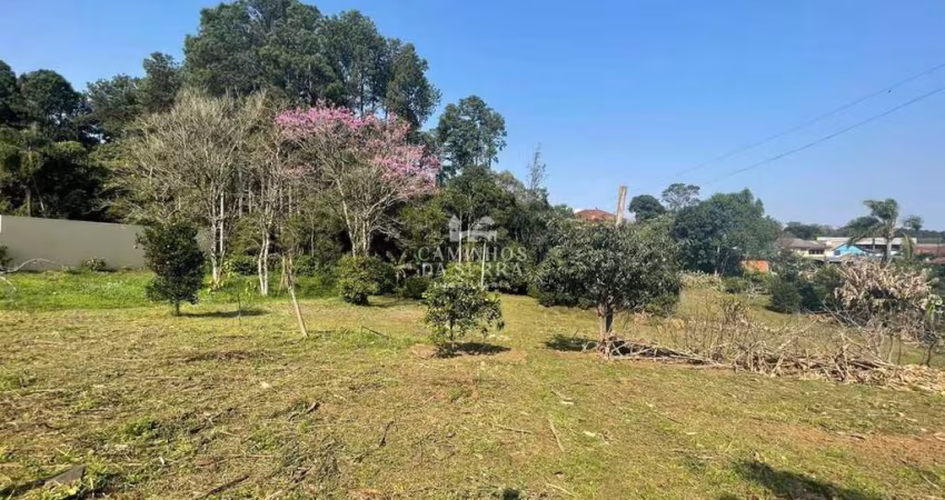 TERRENO GRANDE NO JURITI, Jurití, Nova Petropolis - RS
