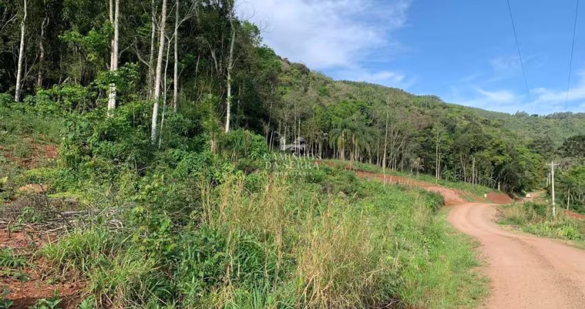ÁREA À VENDA NA LINHA OLINDA EM NOVA PETRÓPOLIS, Linha Olinda, Nova Petropolis - RS