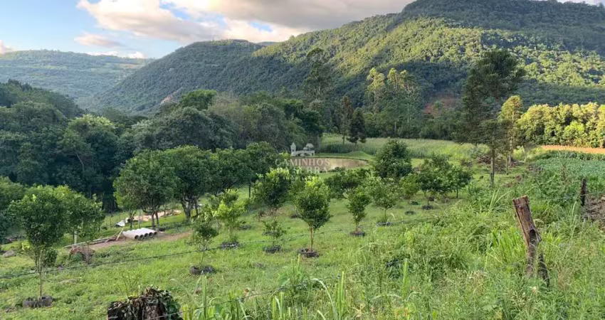 Chácara / sítio à venda na LINHA RIACHUELO, Zona Rural, Nova Petrópolis