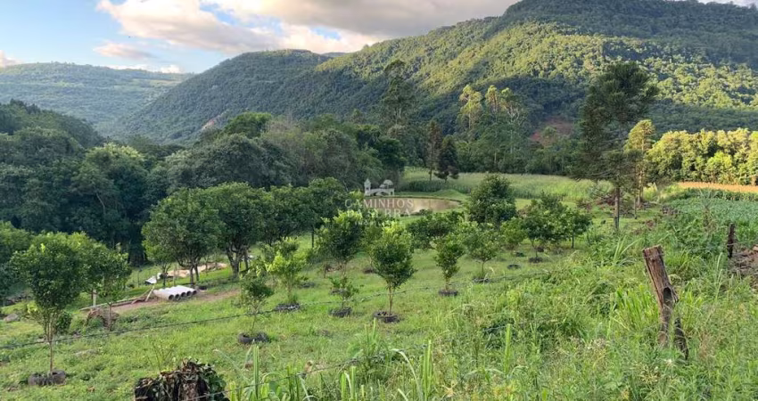 ÁREA DE TERRA COM VISTA AO MORRO MALAKOFF, LINHA RIACHUELO, Nova Petropolis - RS