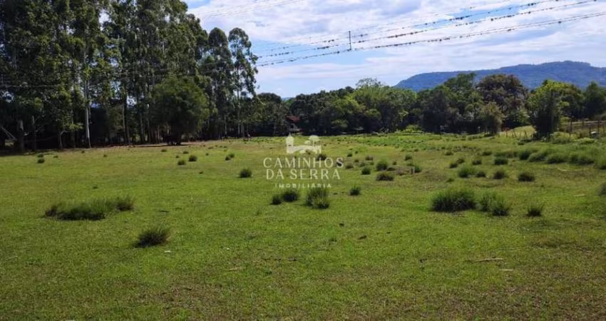 ÁREA DE TERRA À VENDA ENTRE NOVA PETRÓPOLIS E GRAMADO, Linha Araripe, Nova Petropolis - RS